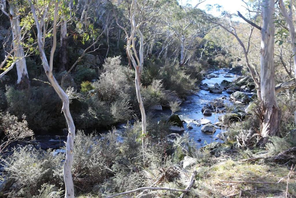 Big Yard Escapes - Two Off-Grid Tiny Houses On The Mowamba River Jindabyne Exterior foto