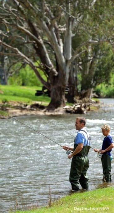 Big Yard Escapes - Two Off-Grid Tiny Houses On The Mowamba River Jindabyne Exterior foto