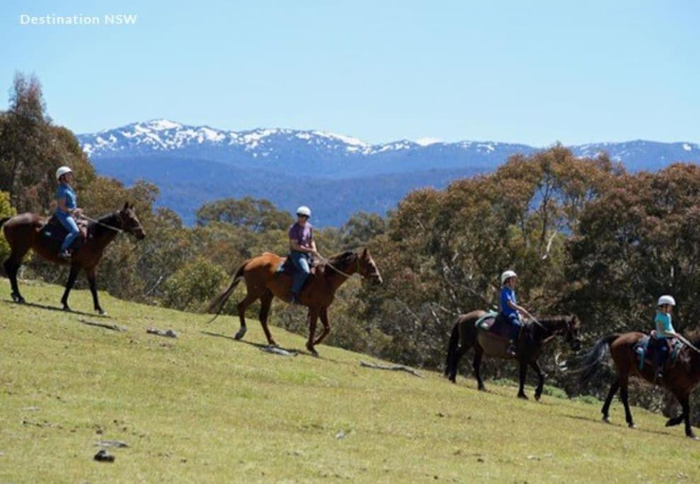 Big Yard Escapes - Two Off-Grid Tiny Houses On The Mowamba River Jindabyne Exterior foto