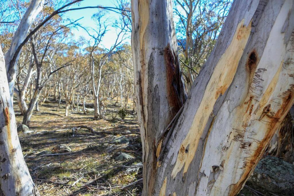 Big Yard Escapes - Two Off-Grid Tiny Houses On The Mowamba River Jindabyne Exterior foto