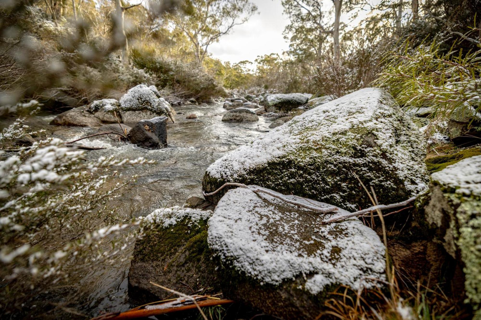 Big Yard Escapes - Two Off-Grid Tiny Houses On The Mowamba River Jindabyne Exterior foto